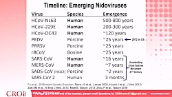 از ویروس‌های کرونا چه میدانیم؟