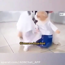 گربه های زمان قدیم :)))