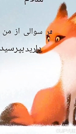 هر سوالی از من دارید بپرسید