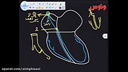 #تدریس#زیست#بدون#کرونا#کلاس#ان...