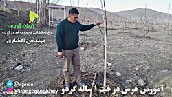هرس | آموزش هرس درخت گردو| مهن...