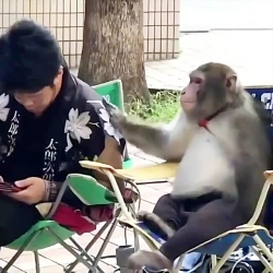 دوبله و صداگذاری عالی جواد خوا...