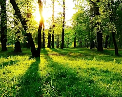 موزیک ویدیو تبریک نوروز 99 با...