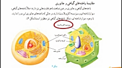 علوم هفتم فصل 11 (قسمت 2)