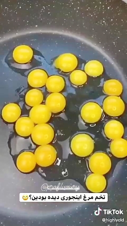 &bull;تخم مرغ چند زرده ای&bull...