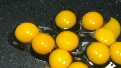 •تخم مرغ چند زرده ای•