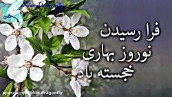 کلیپ تبریک سال نو رسمی کلیپ تب...