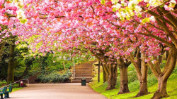 عید نوروز  آهنگ شاد و بسیار زی...