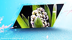 پروژه آماده افتر افکت به مناسب...