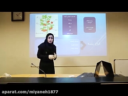 علوم سوم ابتدایی رضایی