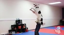 رقص سگ با صاحبش