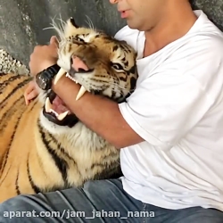 دوست داری جای این باشی؟