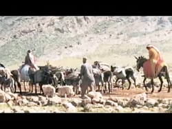 یکی از زیباترین اجراهای علی سر...