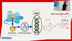 فیلم آموزشی فصل 7 علوم هشتم زی...
