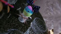 تزئینـ گوگولیـ تخمـ مرغـ هفتـ...