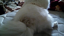 تو به اونجای من چیکار داری بی...