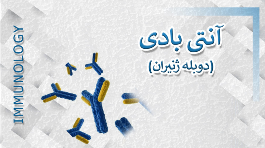 آنتی بادی ها - دوبله ژنیران ترمیم لبخند لثه‌ای