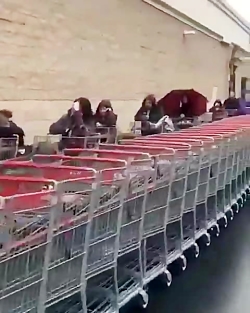 درخواست کمک مردم آمریکا