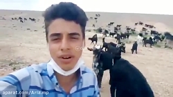 به به چه صدایی این ویدیو روزمو...