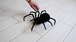 دوربین مخفی شوخی خرکی حمله عنک...