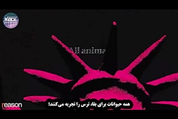 ویروس کرونا، بحرانی به کام دول...