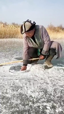 عجب ماهی بزرگی گرفت