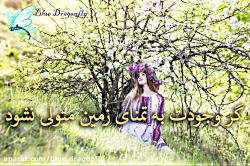 کلیپ تولدت مبارک بهاری آهنگ تو...