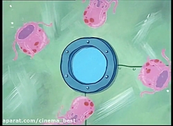 انیمیشن باب اسفنجی