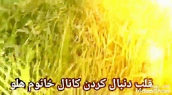 آهنگ امشب؛ در سر، شوری دارم&he...