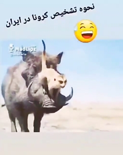 نحوه تشخیص کرونا