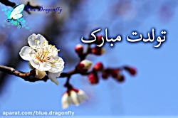 کلیپ تولد فروردینی ها آهنگ تول...