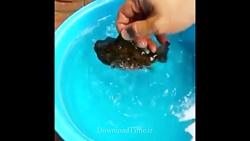 عکس العمل جالب ماهی بادکنکی!