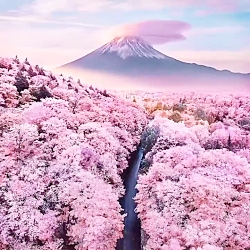 آغاز سال ۱۳۹۹ مبارک.