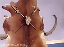 سریال شبهای برره ۲