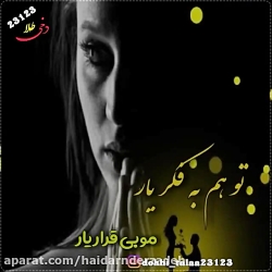 آهنگ غمگین ودیسلاو