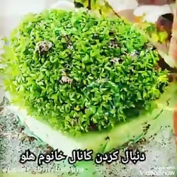 آهنگ دیوانه از رضا بهرام در نگ...