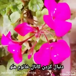 ترانه رضا بهرام به نام هیچ بعد...