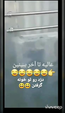 دزدی ، دستگیری دزد