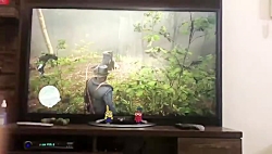 پولدار شدن در بازی رددد پی اس...