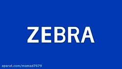 انیمیشن  زبرا یکی از پر طرفدار...