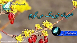 تبریک سال نو  تبریک رسمی  کلیپ...