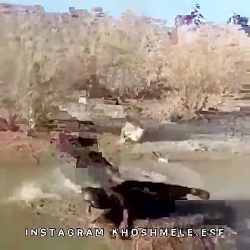 یک دقیقه فقط بخندید❤️