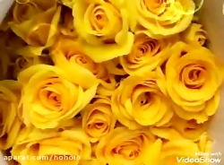 موزیک آهای دل های عاشق روزبه ن...