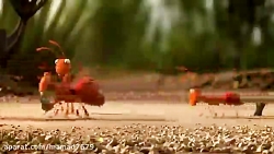 انیمیشن خنده دار کشتن مورچه خو...