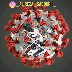 آشنایی با انواع ویروس ها به خص...