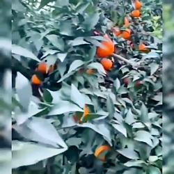 آهنگ جدید-آهنگ غمگین-آهنگ شاد-...