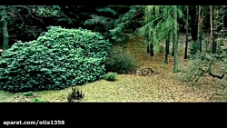 دانلود فیلم مسافرخانه 2 - Host...