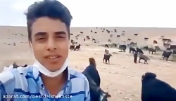 سروش رضایی خواننده نوجوان