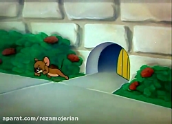 کارتون موش و گربه 36