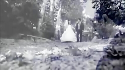 ویدئو کلیپ دلم می خواد از علیر...